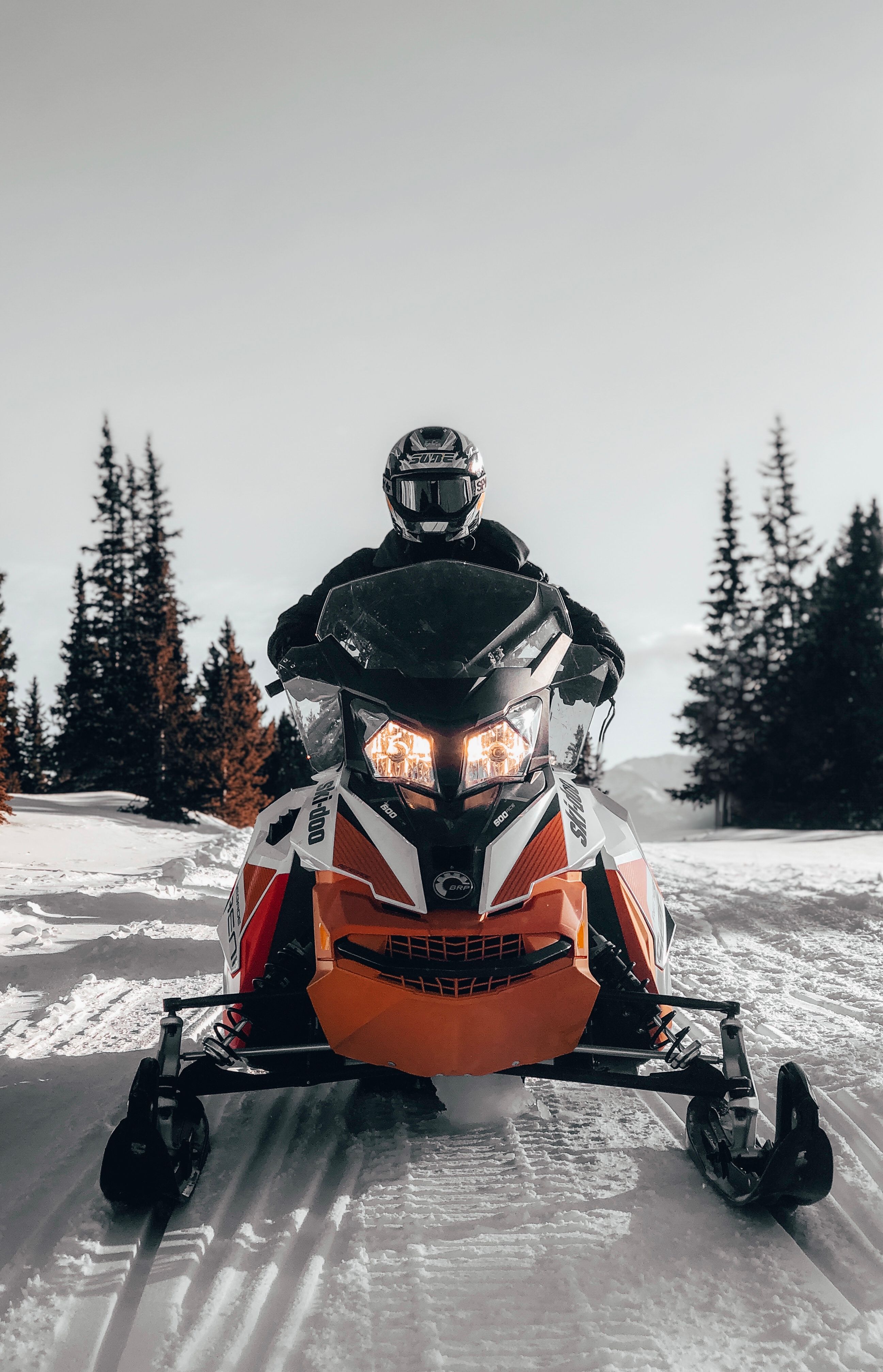 Things To Do Take a Guided Snowmobile Tour